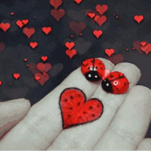 Corazon Love GIF - Corazon Love Heart GIFs