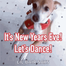 Happy New Year2020 New Years Eve GIF - Happy New Year2020 New Years Eve Dance GIFs