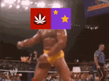 a man in a wrestling ring with a marijuana leaf and two stars on his chest