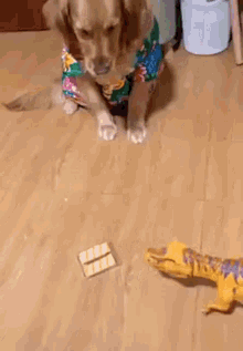 Dog Biscuit GIF - Dog Biscuit Smart GIFs