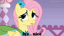a cartoon pony says it 's nice in a purple background