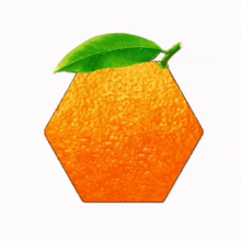 Hex Orange Address Hoa GIF