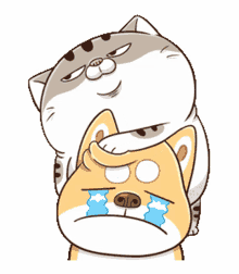 fgcat comfort friend cry dont cry