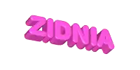 a 3d rendering of the name zidnia
