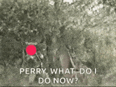 a person is standing in the mud with a red circle in the middle that says perry , what do i do now ?