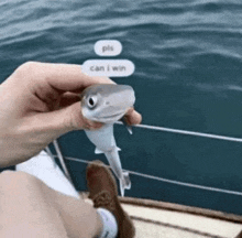 a person is holding a small shark in their hand .