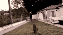 Chasing With Chainsaw Chainsaw GIF - Chasing With Chainsaw Chainsaw Running GIFs