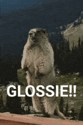 a ground squirrel standing on its hind legs with the word glossie written below it
