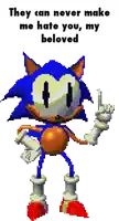 a pixel art of sonic the hedgehog saying they can never make me hate you , my beloved