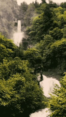 Water Flowing GIF - Water Flowing Grass GIFs
