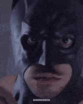 Im Batman Goose Wayne Batman GIF - Im Batman Goose Wayne Batman Im A Superhero GIFs