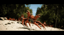 ᄆᄃᄎᄋcrab Rave Crab Dance GIF - ᄆᄃᄎᄋcrab Rave Crab Dance Crabs GIFs
