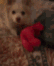 Thank You Very Much For GIF - Thank You Very Much For My GIFs