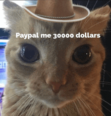 Bglamours Paypal Me 30000 Dollars GIF