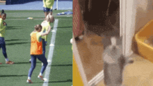 a group of people are playing soccer on a field next to a picture of a cat in a box