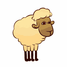 bob sheep