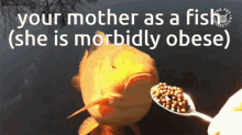 Fish Fat Fish GIF - Fish Fat Fish Your Mother So Large GIFs