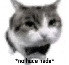 a black and white photo of a cat with its mouth open and the words `` no hace nada '' written on it .