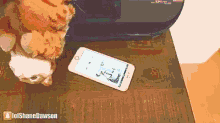 a cat laying on a table next to a cell phone with lolshanedawson written on the bottom