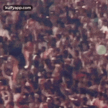 Freedom Test Series.Gif GIF - Freedom Test Series Fans Audience GIFs