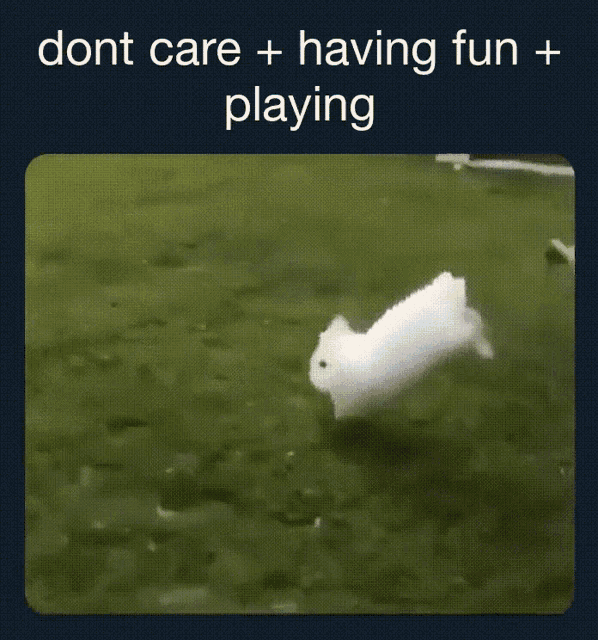 bunny-dont-care-plus-having-fun.gif