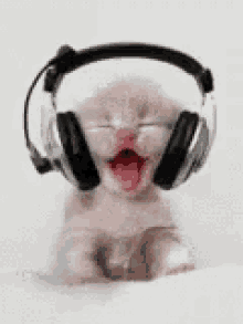 Listening To Music Kitten GIF