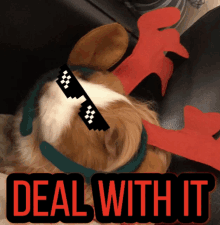 Dealwithit Cute GIF - Dealwithit Cute Cool GIFs