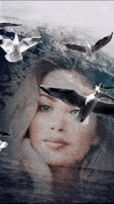 a woman is surrounded by seagulls and mountains in the background