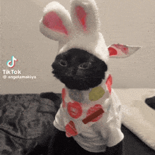 a black cat wearing a white bunny hat and a white shirt .