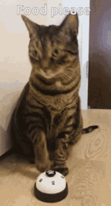 Me At Dinner Time GIF - Me At Dinner Time GIFs