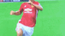 Manchester United Ibrahim Ovic GIF - Manchester United Ibrahim Ovic Celebrate GIFs