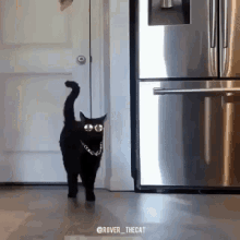 Cool Awesome GIF - Cool Awesome Cuteness GIFs