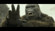 king kong mad angry pissed gorilla
