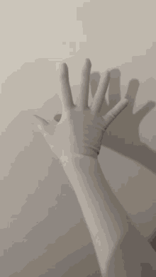 a person wearing white gloves is holding something in their hand .