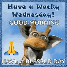 a picture of a giraffe with the words have a wacky wednesday good morning have a blessed day