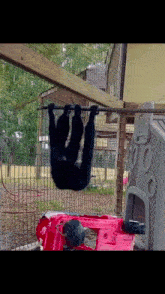 a chimpanzee hangs upside down on a bar in a cage