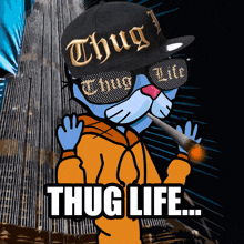 a cartoon cat wearing a thug life hat and sunglasses