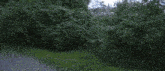a blurred image of a road with the words take it take it take it take it
