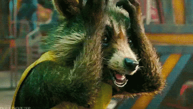 Frustrated Rocket - Guardians Of The Galaxy GIF - Guardians Of The Galaxy Frustrated Rocket Racoon GIFs