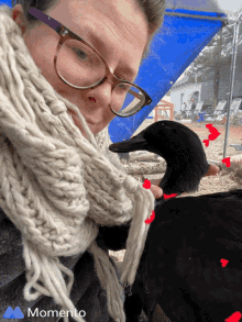 a woman wearing glasses and a scarf is petting a black duck with red arrows pointing at it