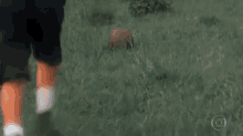 a person is kicking a soccer ball in the grass .
