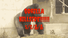 Hillside Gorilla GIF - Hillside Gorilla GIFs