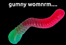 Gummy Worm GIF - Gummy Worm GIFs