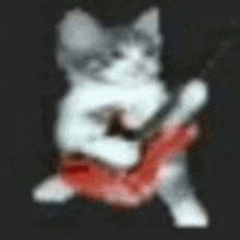 a blurry picture of a cat playing a guitar on a black background .