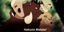 Hakuna Matata! GIF - Hakunamatata Lion King Tamone Pumba GIFs