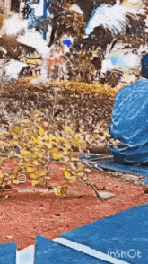a video of a person sitting on the ground with the words inshot at the top