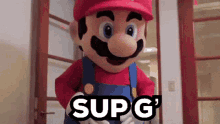 Mario Sup GIF - Mario Sup GIFs