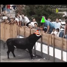 Conegang Bull GIF - Conegang Bull Winner GIFs