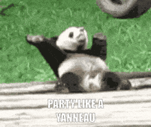 Panda Dance Party Like A Yanneau GIF - Panda Dance Party Like A Yanneau GIFs