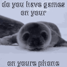 Animals With Captions Baby Seal GIF - Animals With Captions Baby Seal Do You Have Games On Your Phone GIFs